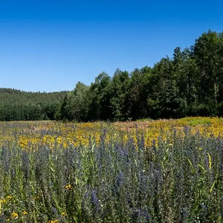 게스트하우스 Le Haut Du Pave Anzin