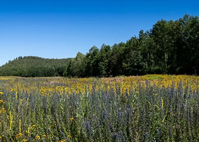 Maison d'hôtes Le Haut Du Pave Anzin